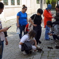 DSC08091